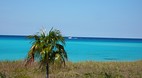 Bimini Nature Trail