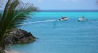 Bimini