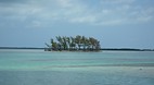 Bimini