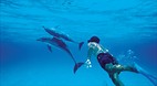 Bimini