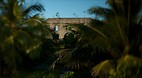 Cat Island