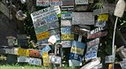 Eleuthera / Harbour ..