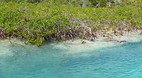 Exuma Cays Land and ..