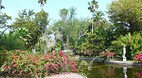Garden of the Groves