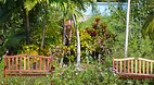 Garden of the Groves