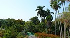 Garden of the Groves