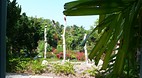 Garden of the Groves