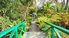 Garden of the Groves