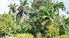 Garden of the Groves