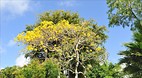 Garden of the Groves