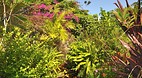 Garden of the Groves