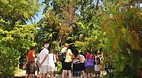 Garden of the Groves