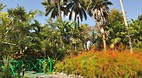 Garden of the Groves