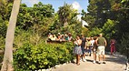 Garden of the Groves