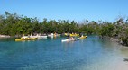 Grand Bahama Island