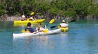 Grand Bahama Island