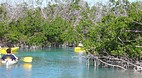 Grand Bahama Island