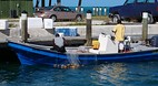 Grand Bahama Island