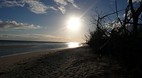 Grand Bahama Island