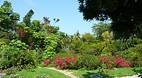 Grand Bahama Island