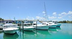 Grand Bahama Island