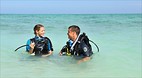 Grand Bahama Island