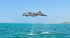 Grand Bahama Island