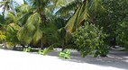 Tiamo Beach