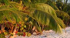 Tiamo Beach