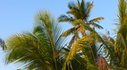 Tiamo Beach