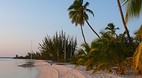 Tiamo Beach