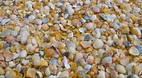Praia Mocambique