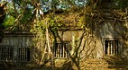 Beng Mealea
