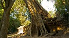 Ta Prohm
