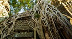 Ta Prohm