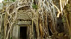 Ta Prohm