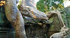 Ta Prohm