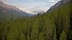 Banff Gondola