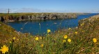 Bonavista