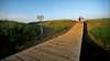 Cabot Beach Provincial Park