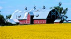 Calgary