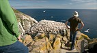 Cape St. Mary