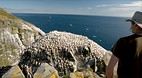 Cape St. Mary