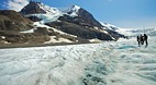 Columbia Icefield