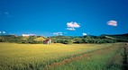Saskatchewan
