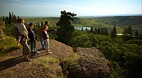 Cypress Hills Interp..