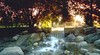 Devonian Botanic Garden