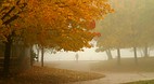 Greater Toronto Area