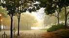 Greater Toronto Area