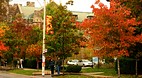Greater Toronto Area